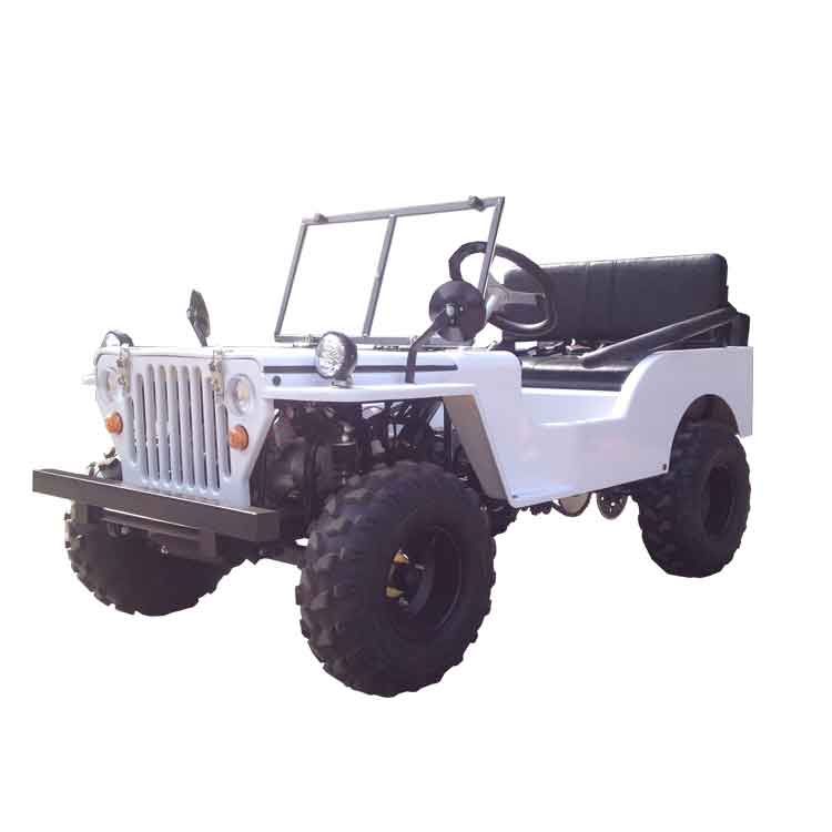 Mini Willy Jeep with 110cc-150cc