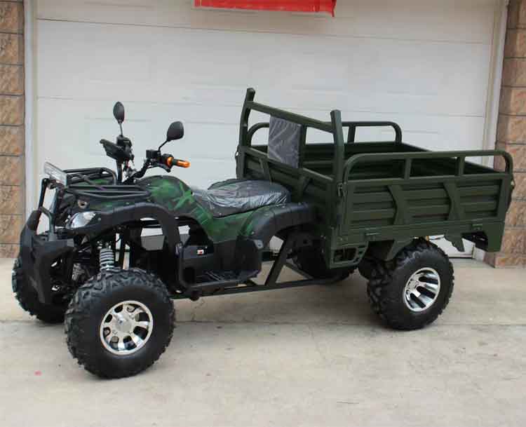 Hot Sell Electric Farm Atv with 2500w for Adults Hot Sell Electric Farm Atv with 2500w for Adults