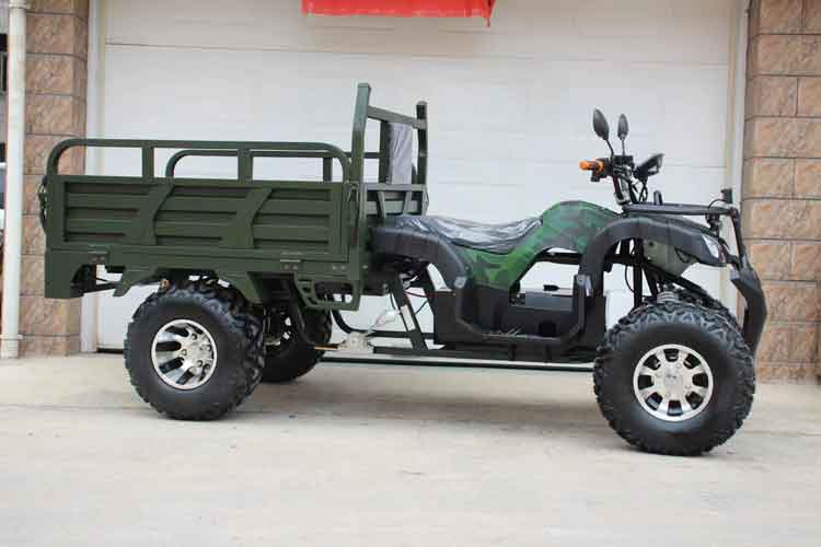 Hot Sell Electric Farm Atv with 2500w for Adults Hot Sell Electric Farm Atv with 2500w for Adults