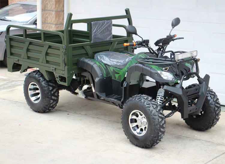Hot Sell Electric Farm Atv with 2500w for Adults Hot Sell Electric Farm Atv with 2500w for Adults