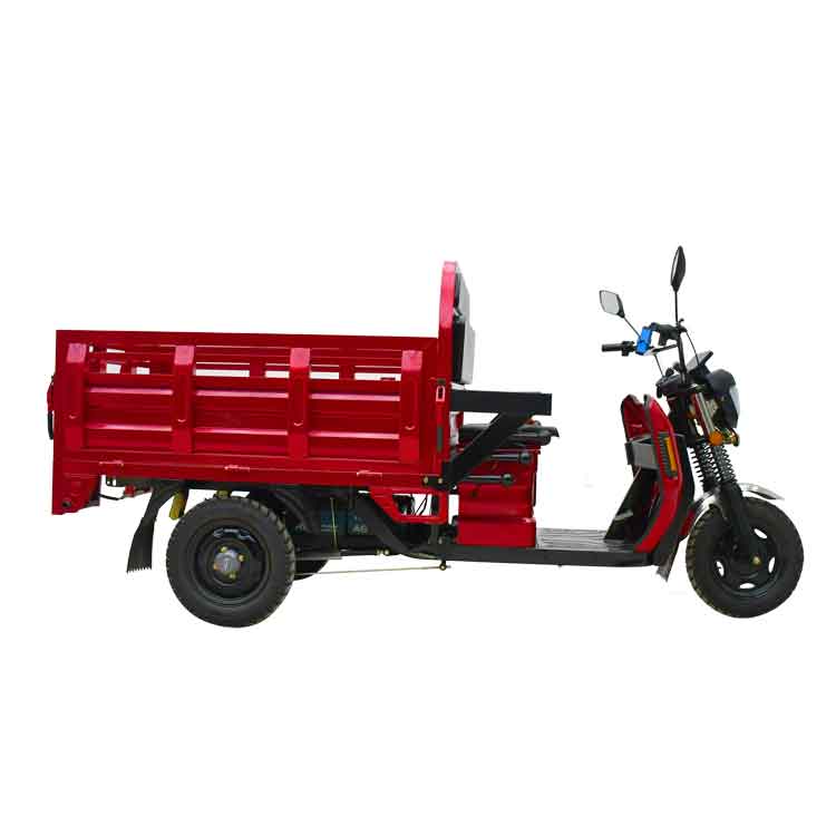 1000w Electric Cargo Tricycle with Euro 5 1000w Electric Cargo Tricycle with Euro 5