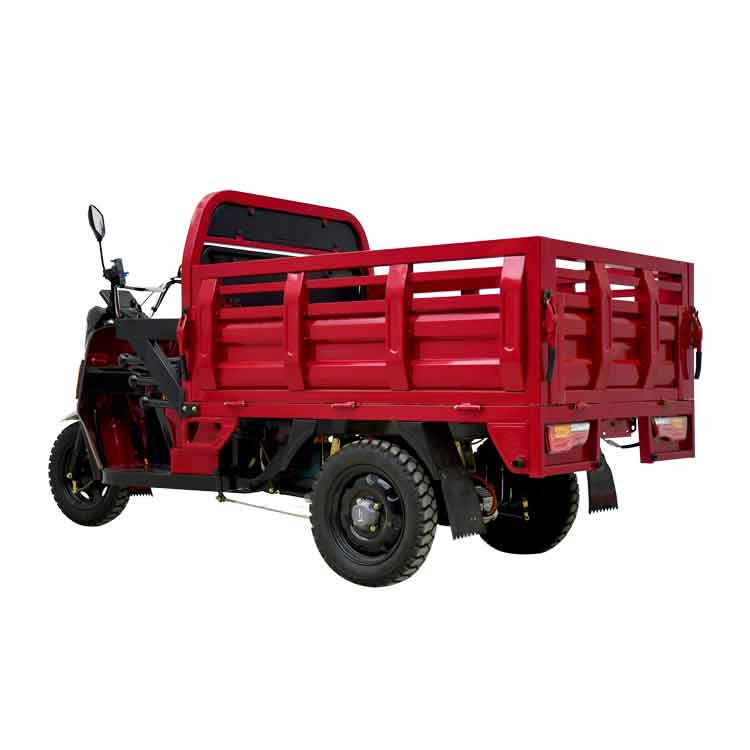 1000w Electric Cargo Tricycle with Euro 5 1000w Electric Cargo Tricycle with Euro 5