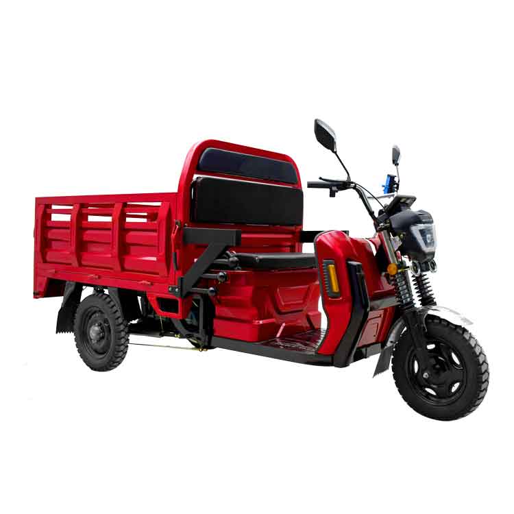 1000w Electric Cargo Tricycle with Euro 5 1000w Electric Cargo Tricycle with Euro 5