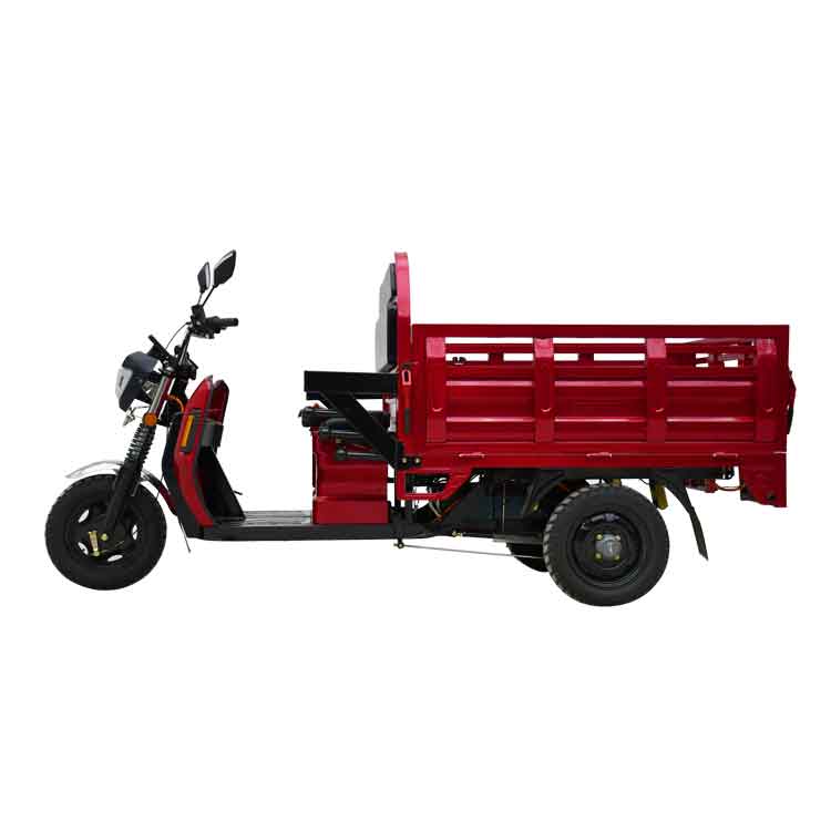 1000w Electric Cargo Tricycle with Euro 5 1000w Electric Cargo Tricycle with Euro 5