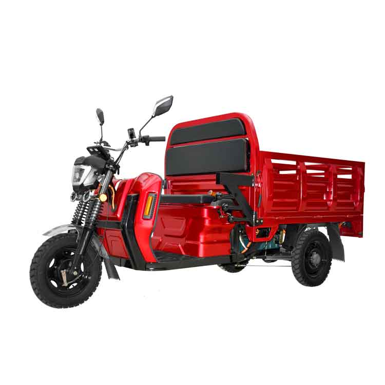 1000w Electric Cargo Tricycle with Euro 5