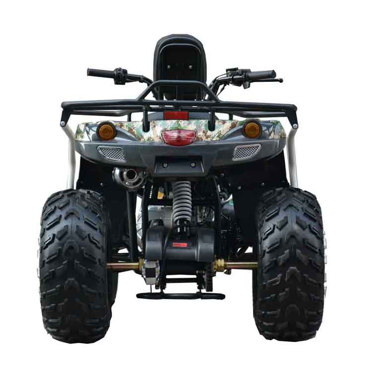 Hot sell 200CC CVT Quad Hot sell 200CC CVT Quad
