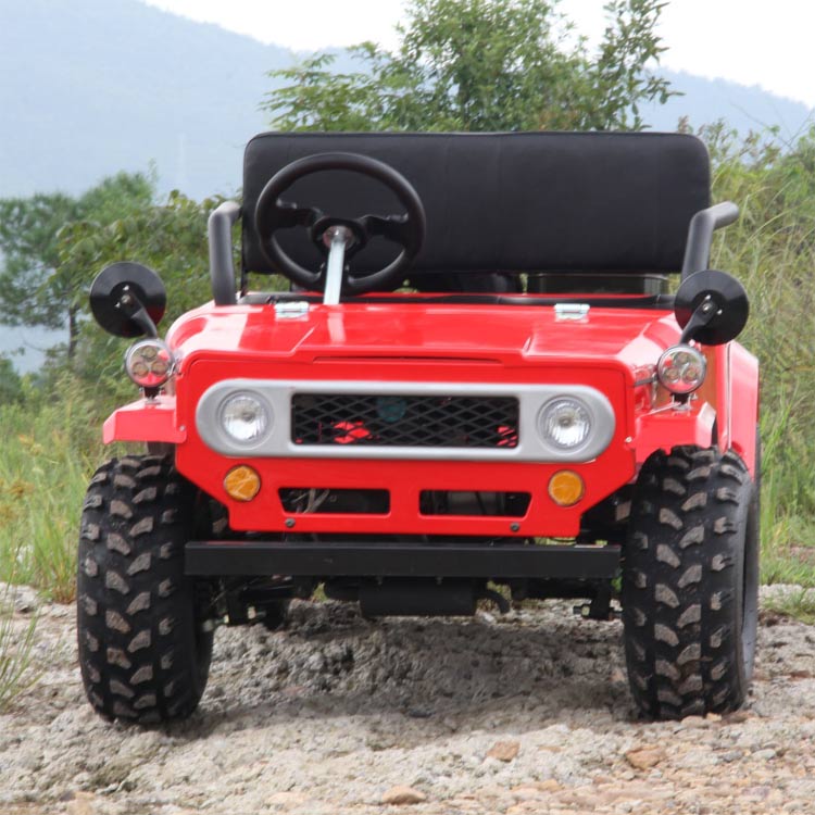 Toyota Mini Go Kart 110cc125cc150cc With Cdi For Off Road Toyota Mini Go Kart 110cc125cc150cc With Cdi For Off Road