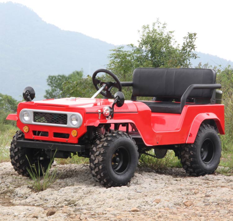 Toyota Mini Go Kart 110cc125cc150cc With Cdi For Off Road Toyota Mini Go Kart 110cc125cc150cc With Cdi For Off Road