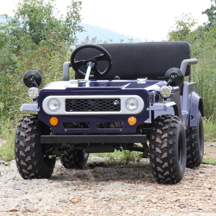 Toyota Mini Go Kart 110cc125cc150cc With Cdi For Off Road Toyota Mini Go Kart 110cc125cc150cc With Cdi For Off Road