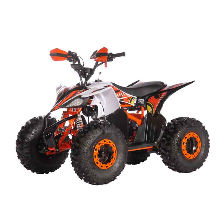 110cc-125cc off road quad for adult