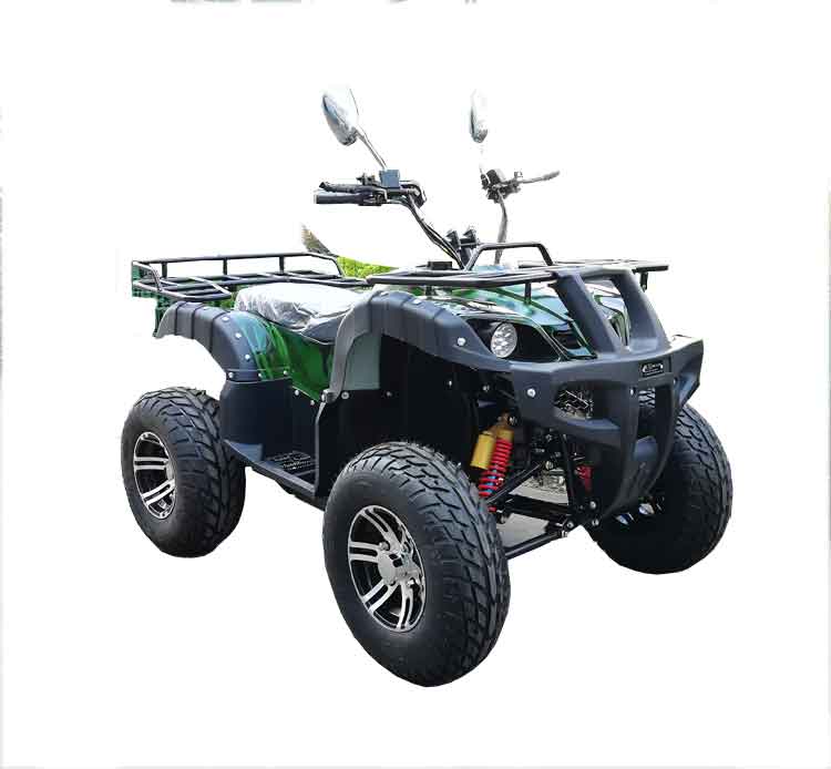 Hot Sell 2000w Electric Quad for Audlt Outdoor Use Hot Sell 2000w Electric Quad for Audlt Outdoor Use
