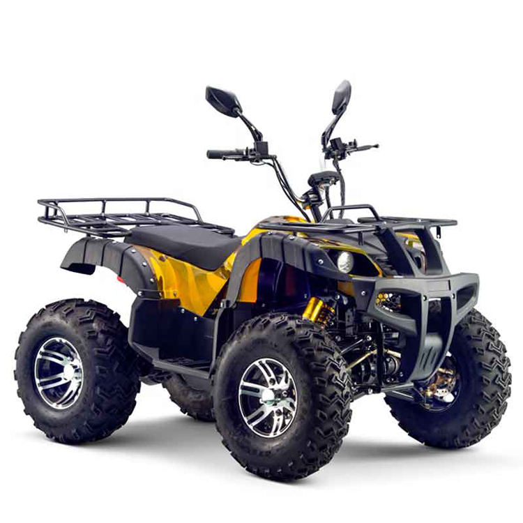 Hot Sell 2000w Electric Quad for Audlt Outdoor Use Hot Sell 2000w Electric Quad for Audlt Outdoor Use