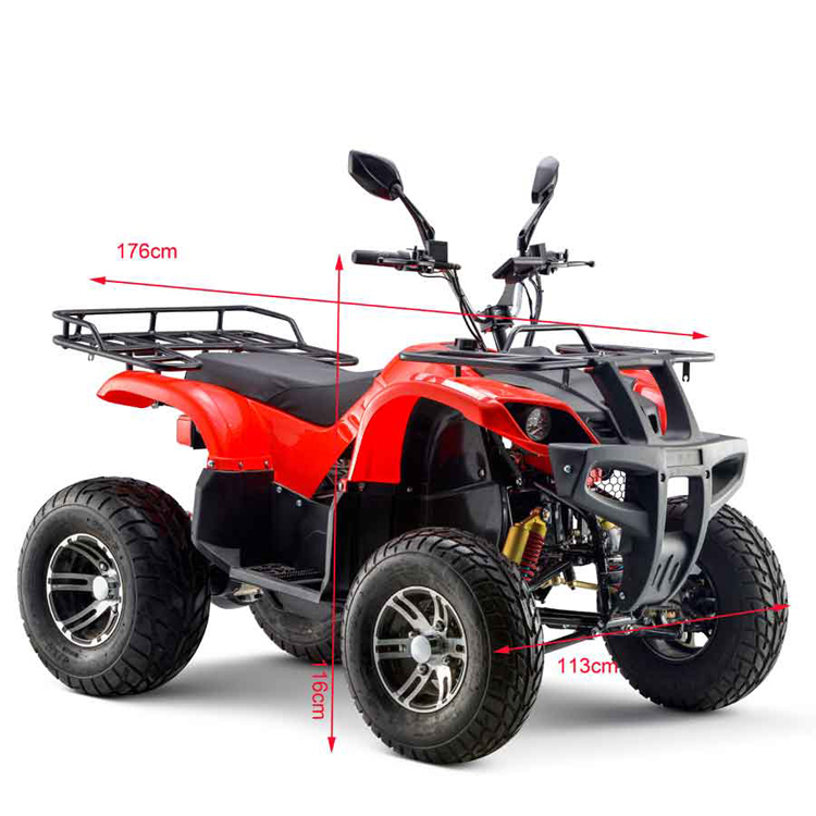 Hot Sell 2000w Electric Quad for Audlt Outdoor Use Hot Sell 2000w Electric Quad for Audlt Outdoor Use