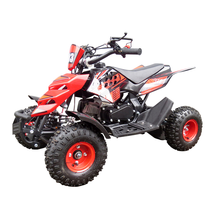 49cc 2 Stroke Mini Quad for Kids