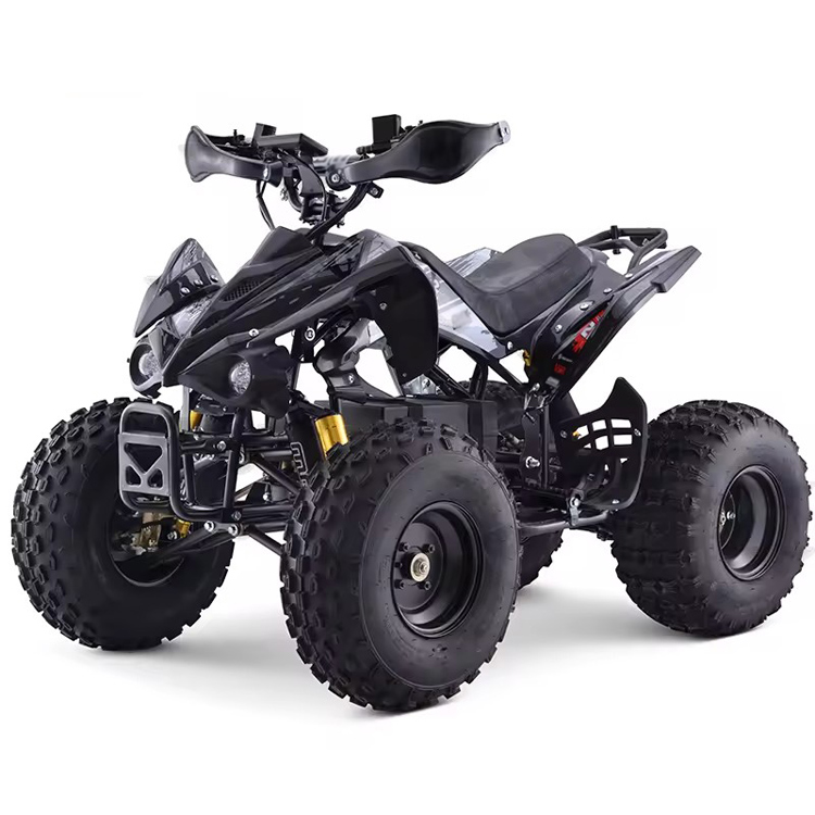 750w-1500w Four Wheeler Electric Quad Atv Motorcycle for Sale 750w-1500w Four Wheeler Electric Quad Atv Motorcycle for Sale