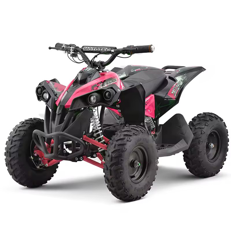 550w Electric Mini Quad Atv Motorcycle for Kids