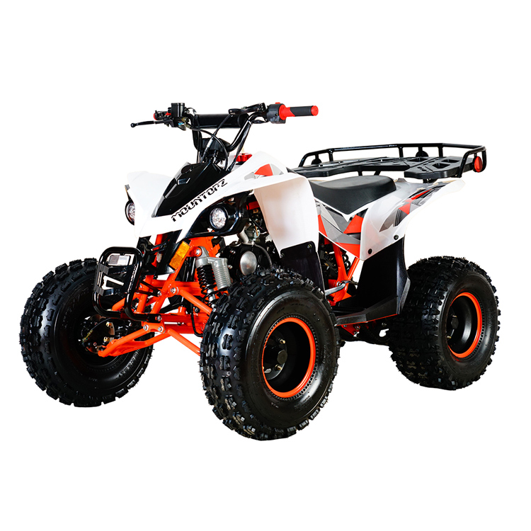 125cc Automatic 4 Stroke Air Cooled Four Wheeler Sport Atv Bike for Off Road