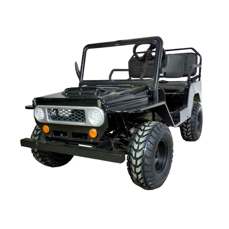 800W-1200W Electric mini Toyota Willy Jeep 800W-1200W Electric mini Toyota Willy Jeep
