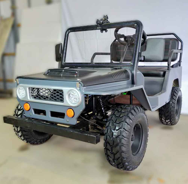 800W-1200W Electric mini Toyota Willy Jeep 800W-1200W Electric mini Toyota Willy Jeep