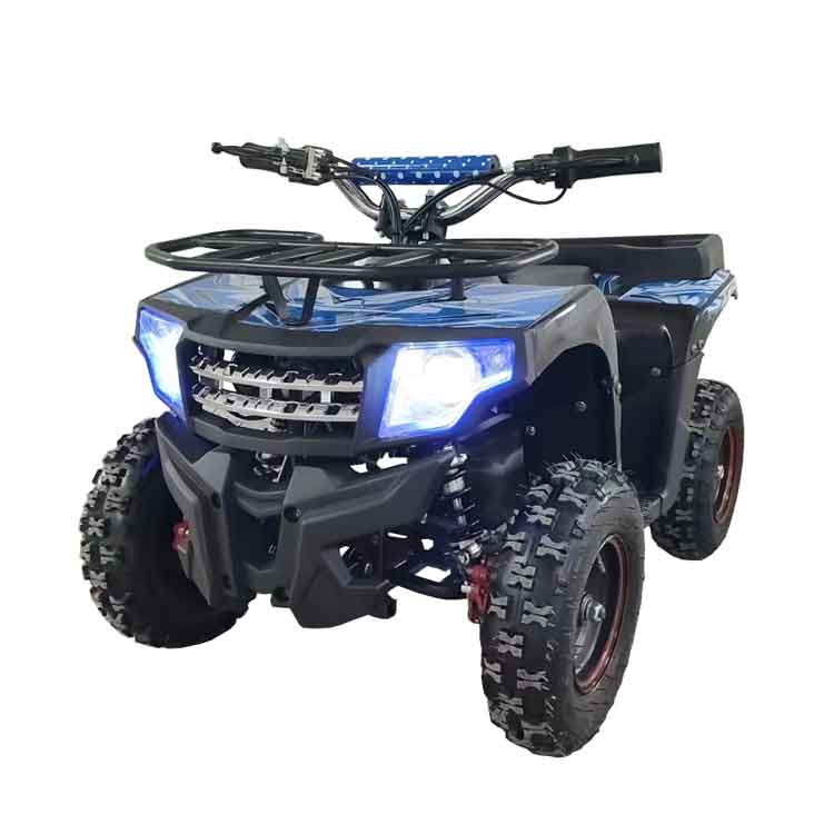 49cc 2 Stroke High Quality Mini Off Road Quads Bike