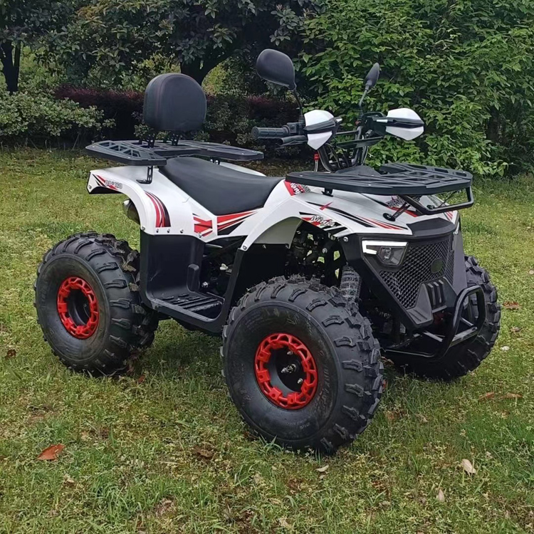 110cc-150cc Utility four wheeler ATV Quad Bike