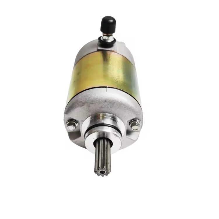 Starter Motor for Yamaha Yp250 Xingyue Gsmoon Xykd260 Starter Motor for Yamaha Yp250 Xingyue Gsmoon Xykd260