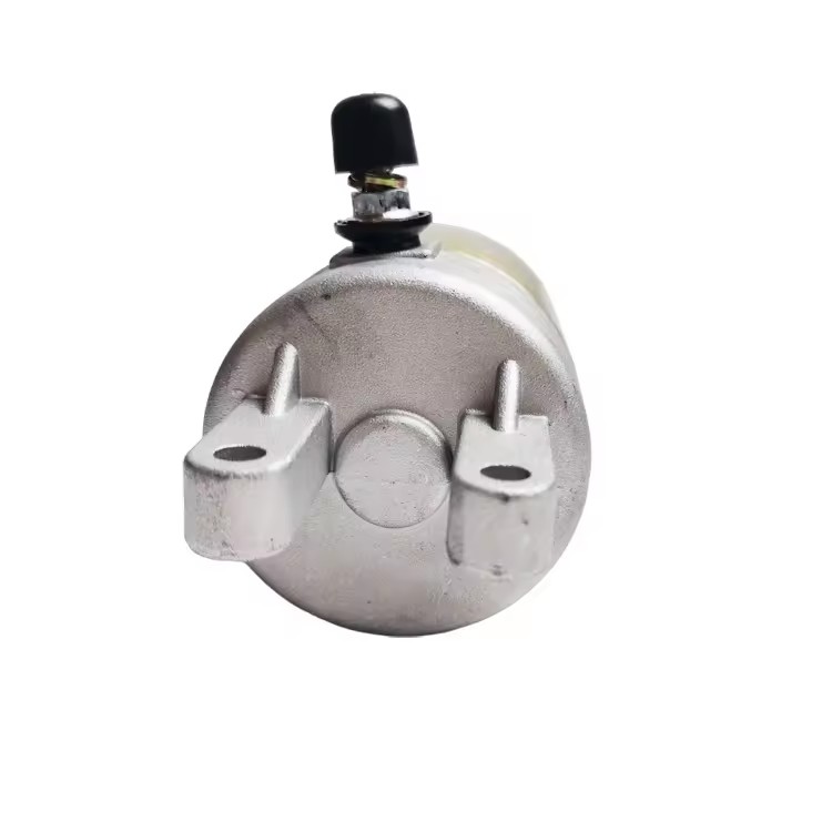 Starter Motor for Yamaha Yp250 Xingyue Gsmoon Xykd260 Starter Motor for Yamaha Yp250 Xingyue Gsmoon Xykd260