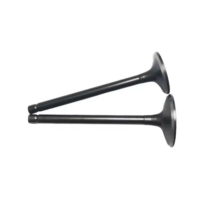 Atv Spare Parts Intake Valve and Exhaust Valve for Xingyue Xykd260 Yp250 Atv Spare Parts Intake Valve and Exhaust Valve for Xingyue Xykd260 Yp250