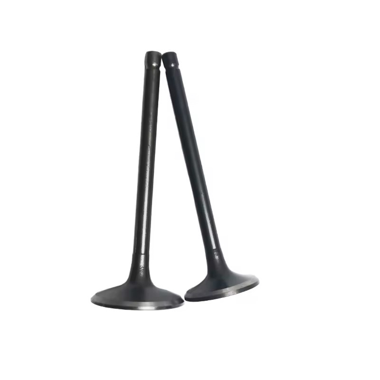 Atv Spare Parts Intake Valve and Exhaust Valve for Xingyue Xykd260 Yp250 Atv Spare Parts Intake Valve and Exhaust Valve for Xingyue Xykd260 Yp250