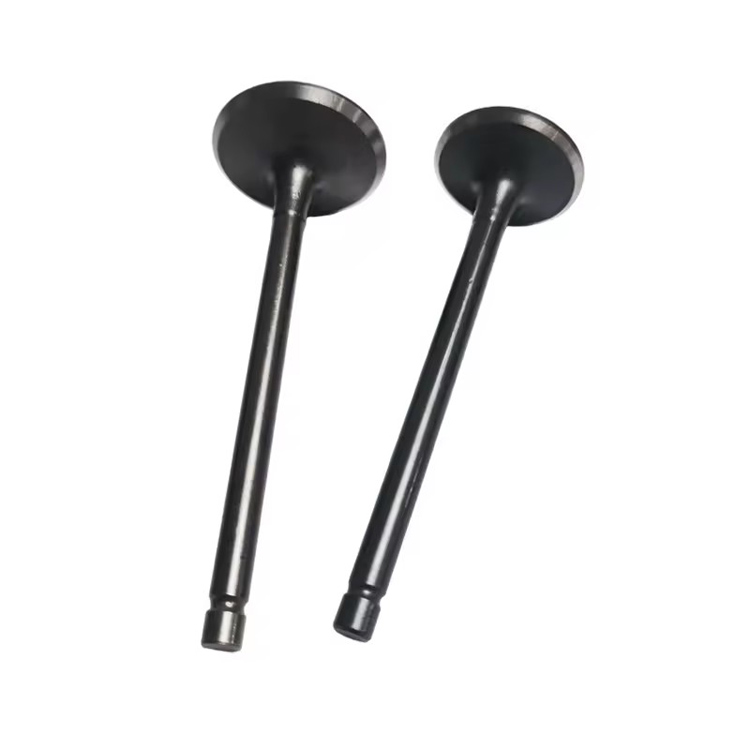 Atv Spare Parts Intake Valve and Exhaust Valve for Xingyue Xykd260 Yp250 Atv Spare Parts Intake Valve and Exhaust Valve for Xingyue Xykd260 Yp250