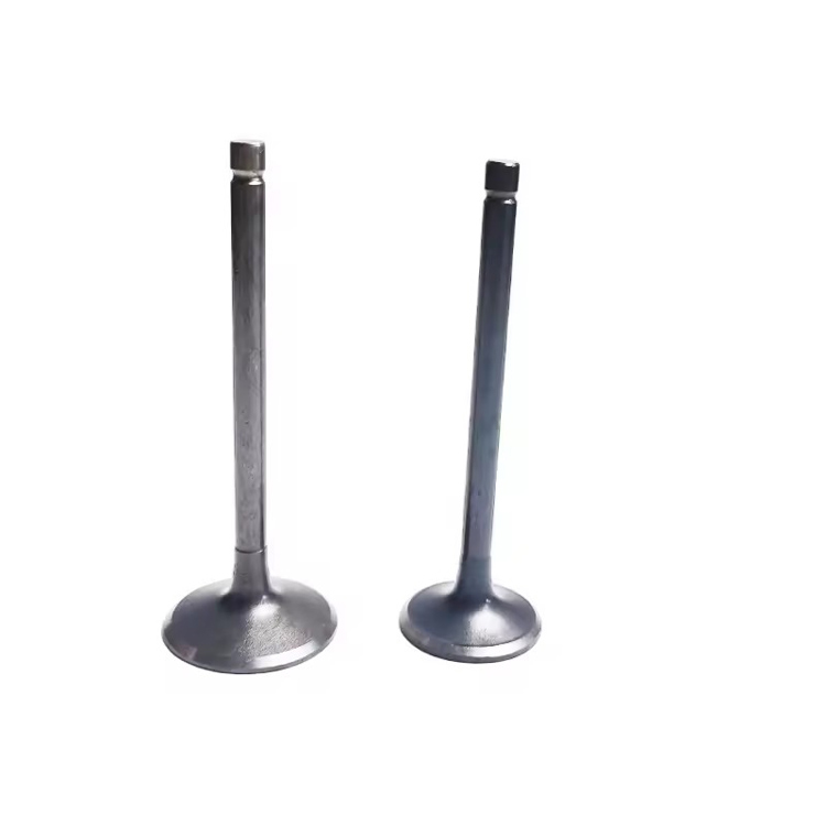 Atv Spare Parts Intake Valve and Exhaust Valve for Xingyue Xykd260 Yp250 Atv Spare Parts Intake Valve and Exhaust Valve for Xingyue Xykd260 Yp250