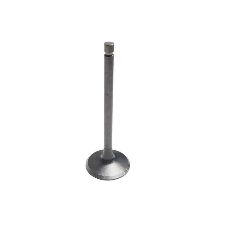 Atv Spare Parts Intake Valve and Exhaust Valve for Xingyue Xykd260 Yp250 Atv Spare Parts Intake Valve and Exhaust Valve for Xingyue Xykd260 Yp250