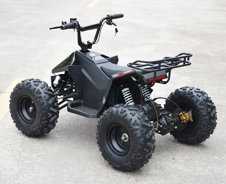 500w,1000w,1500w Brushless Hub-motor Overall Led Light Belt Decoration Electric Atv Quads for Kids 500w,1000w,1500w Brushless Hub-motor Overall Led Light Belt Decoration Electric Atv Quads for Kids