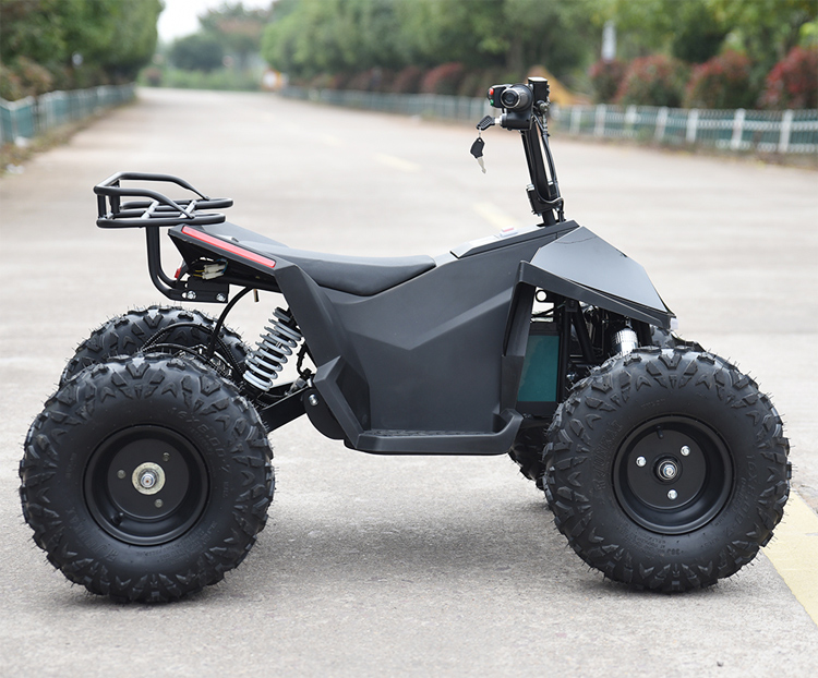500w,1000w,1500w Brushless Hub-motor Overall Led Light Belt Decoration Electric Atv Quads for Kids 500w,1000w,1500w Brushless Hub-motor Overall Led Light Belt Decoration Electric Atv Quads for Kids